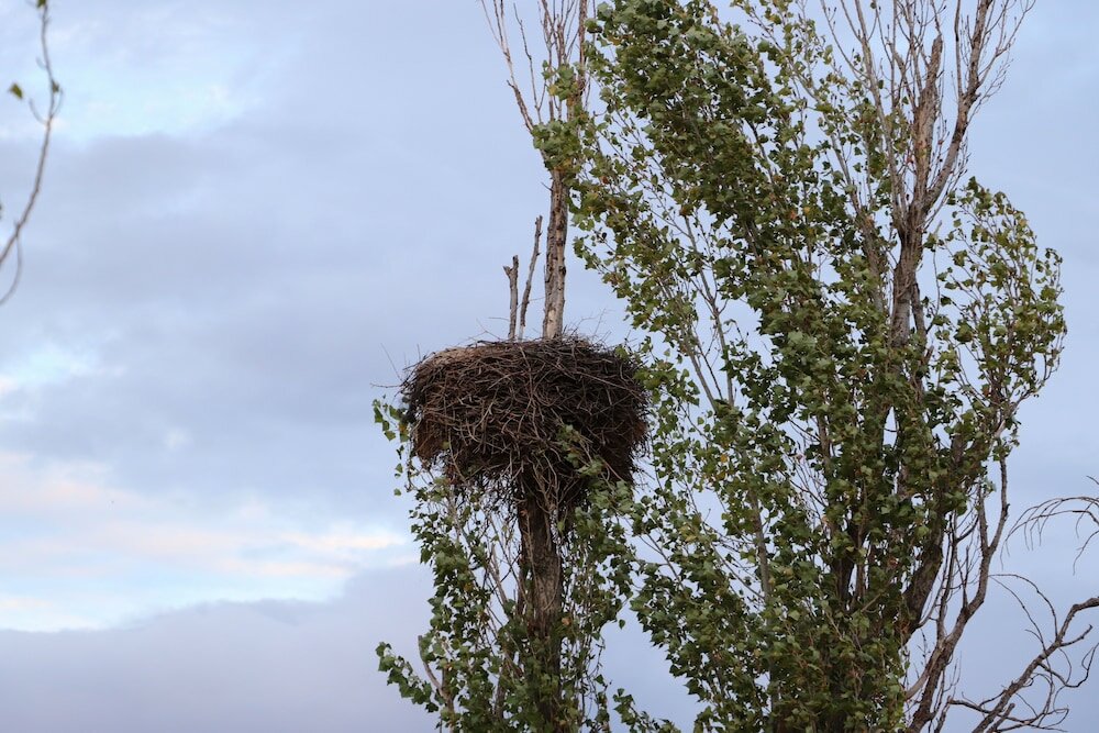 Фото Agroturismo la finka