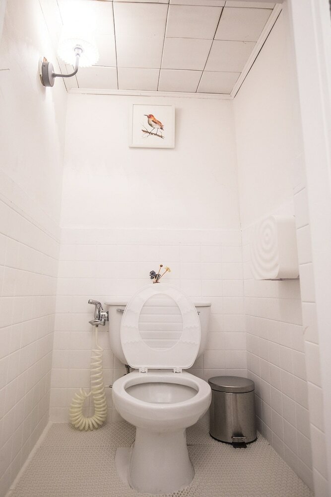 Фото Joy Hasla Sg