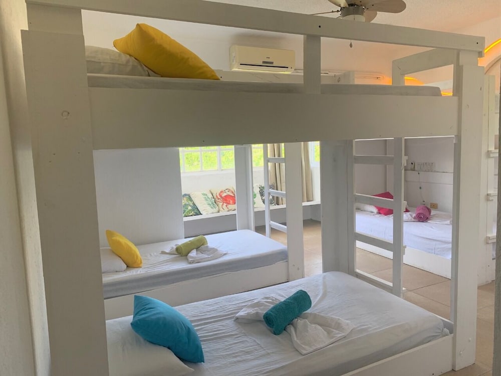 Фото Bango Mango Hostel