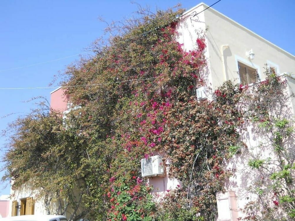 Фото Palladion Hotel