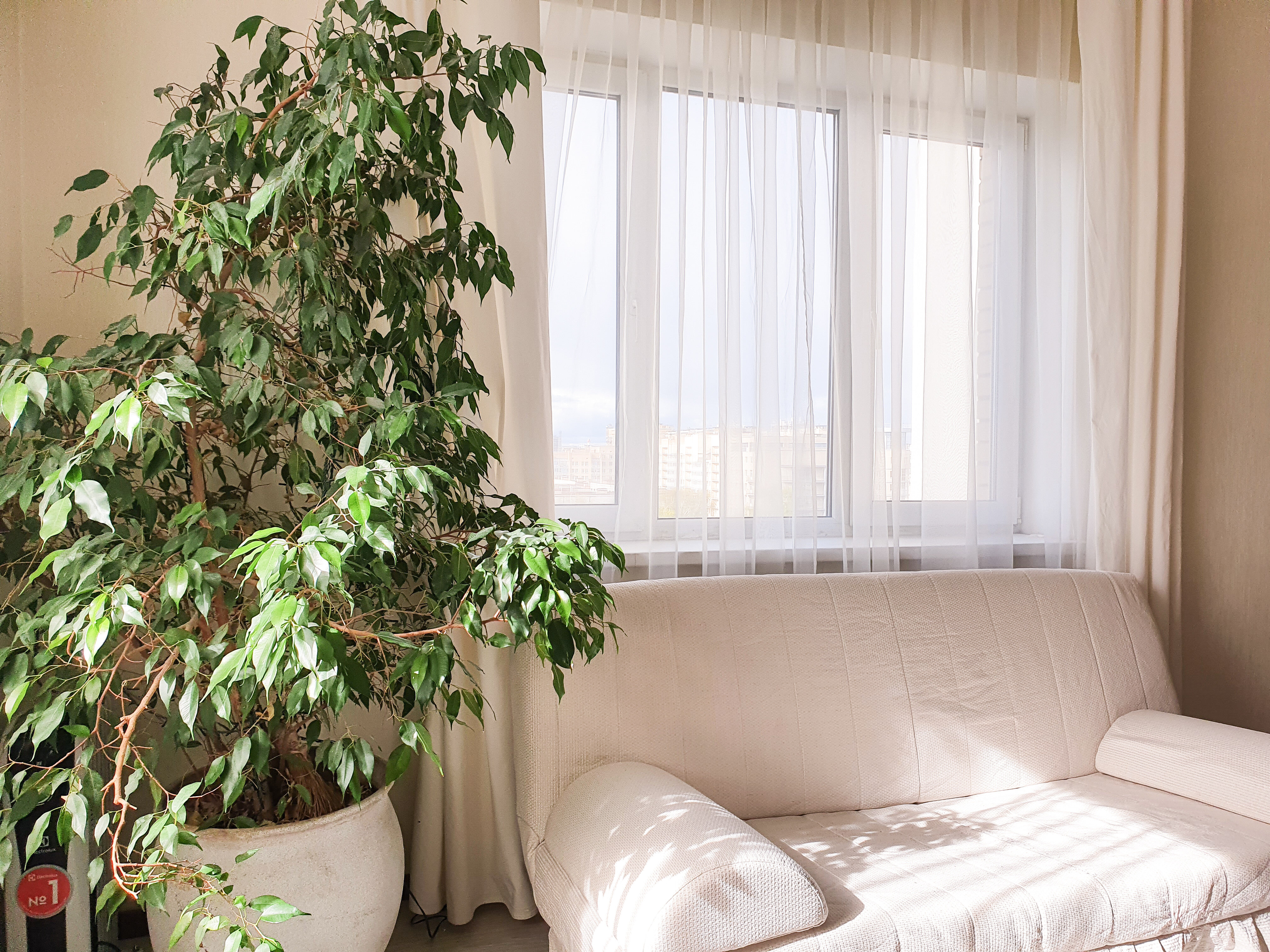 Фото Аэлита Apartment с массажным креслом