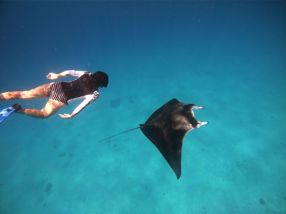 Фото South Ari Dive Center