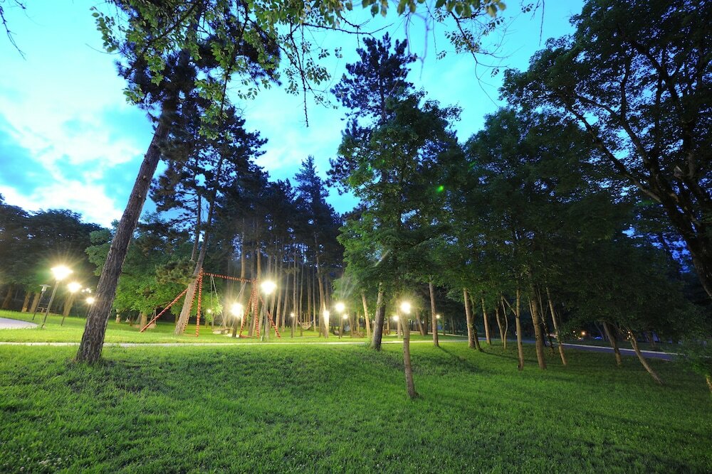 Фото Borjomi Likani