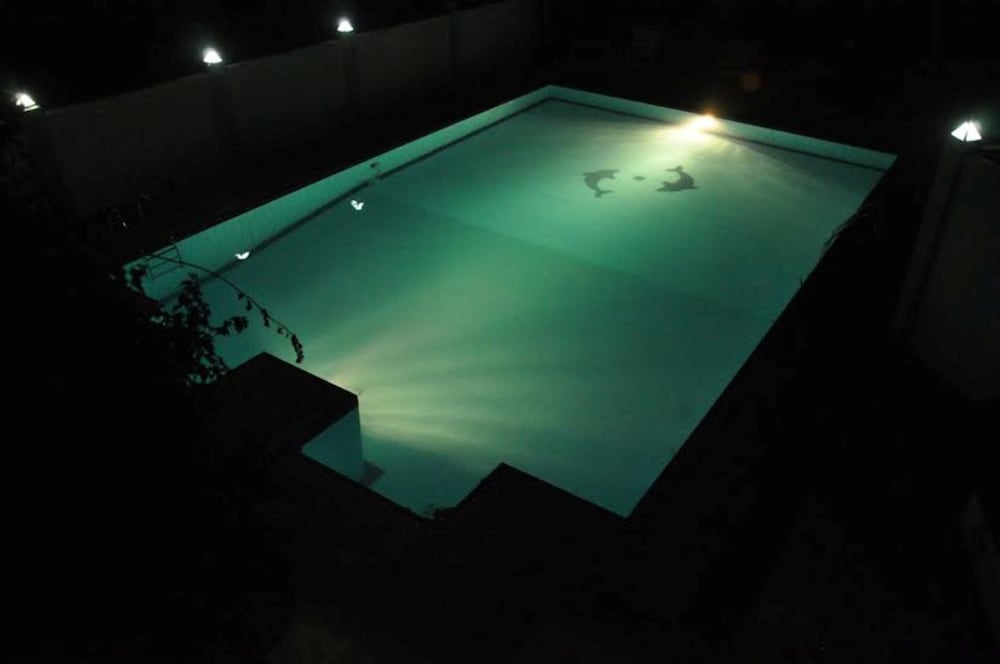 Фото Samorich Hotel