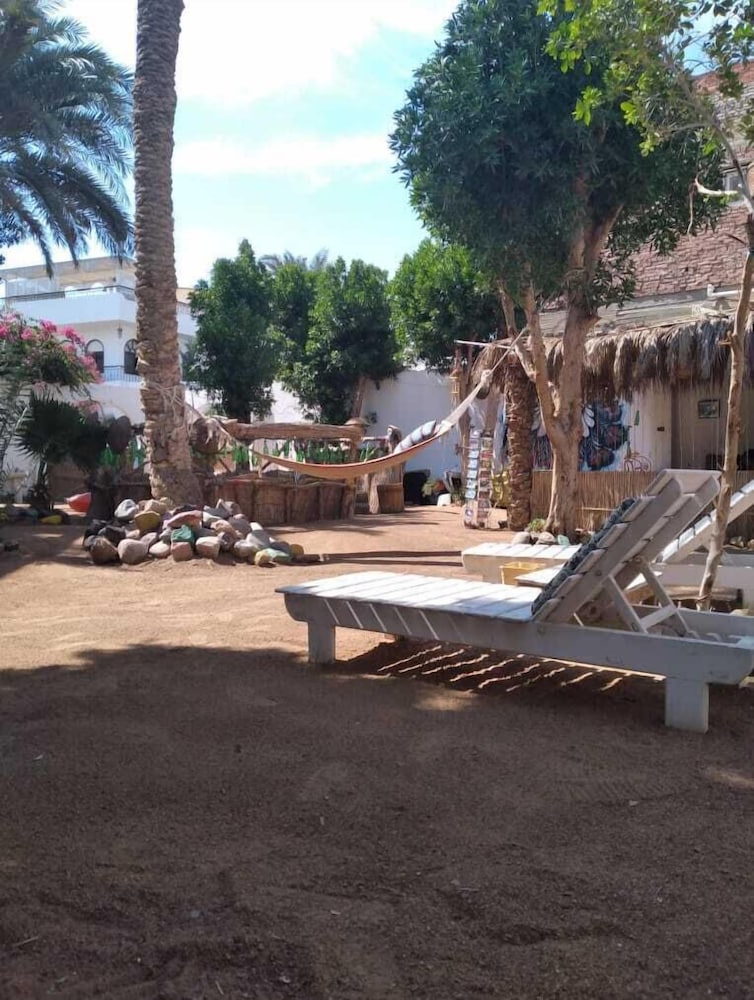 Фото Sunrise Dahab Camp