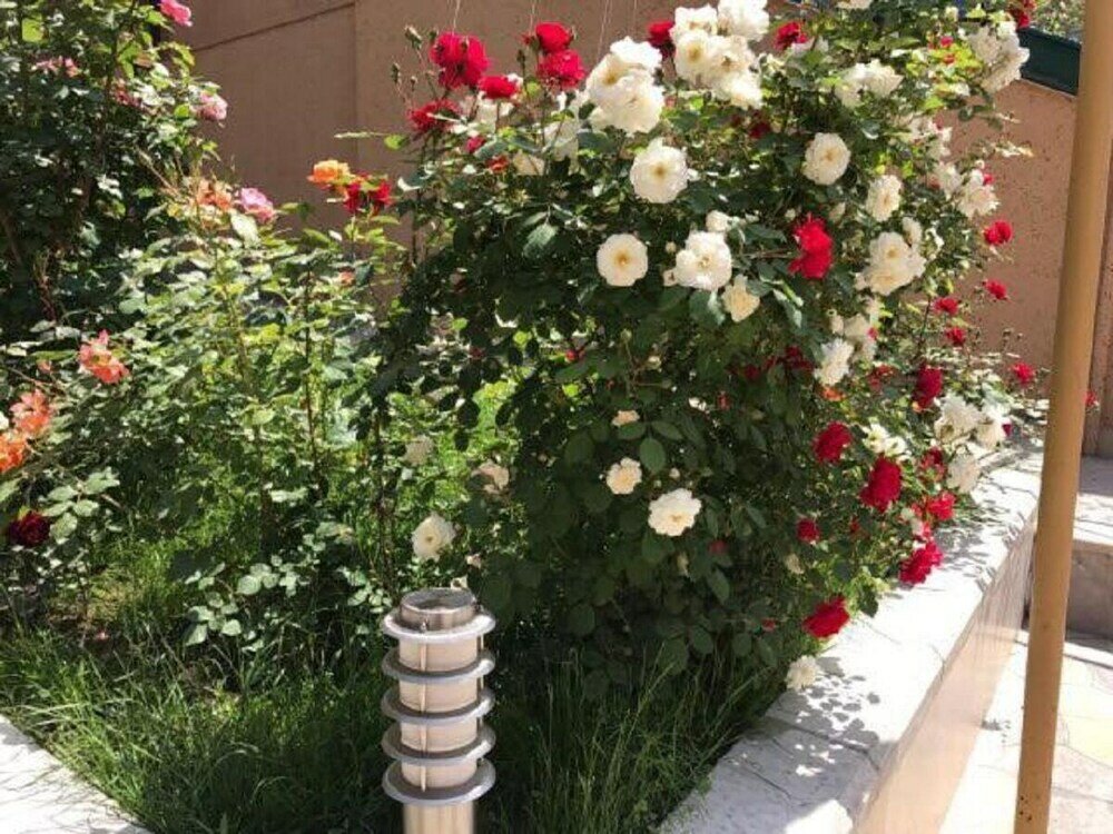 Фото Comfort House