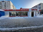 Rose 63 (70 Let Oktyabrya Street, 5Ас2), flower shop