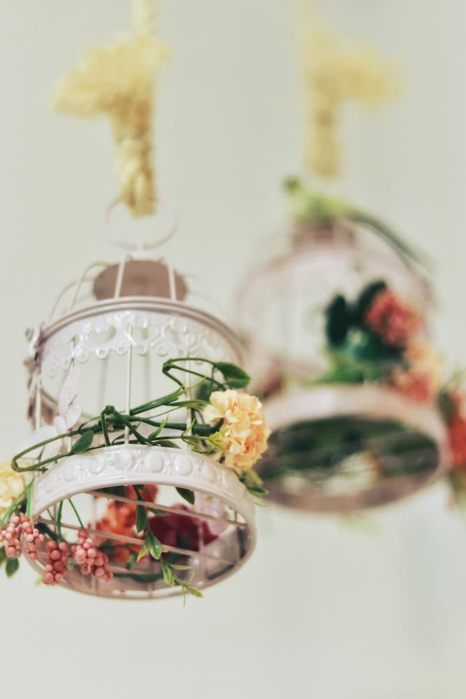 Фото La Martinera Plaza Principal