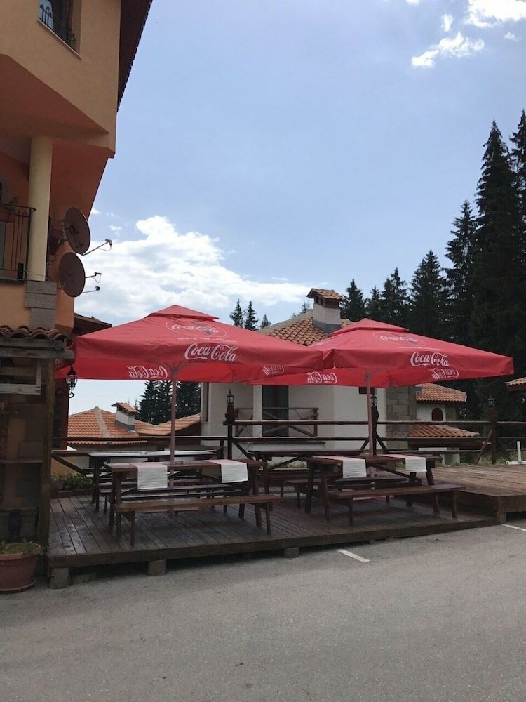 Фото Forest Glade