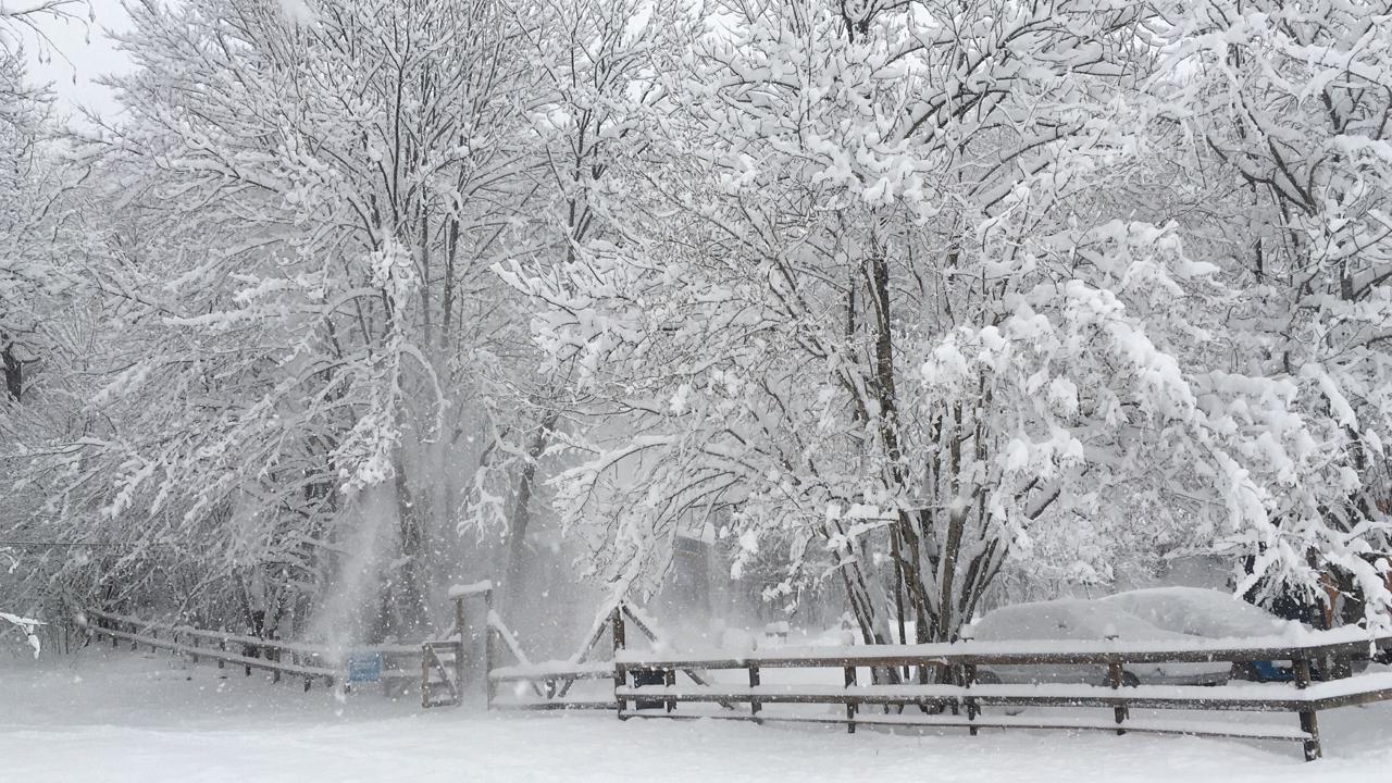 Фото Высокий берег