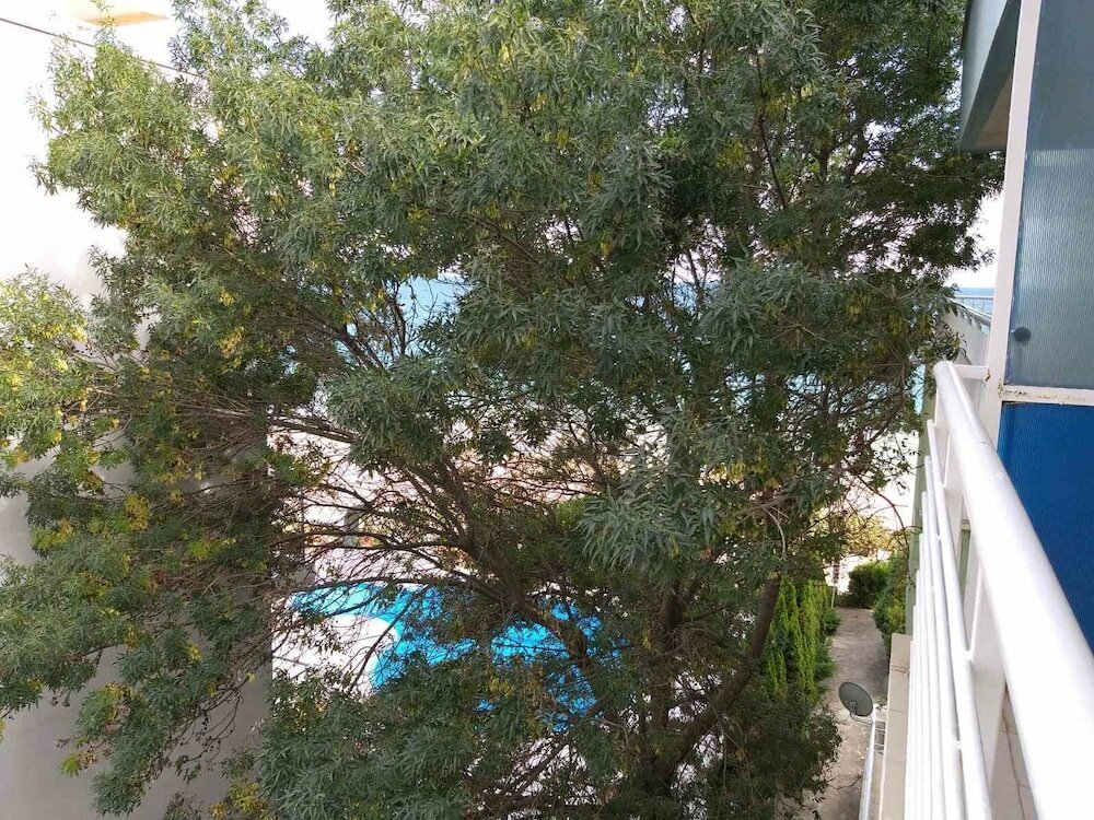 Фото Perla Apartments