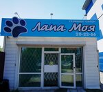 Лапа Моя (ulitsa Shelesta, 23), salón de mascota, peluquería de animales