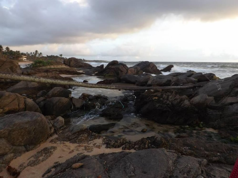 Фото Dinesh Homestay