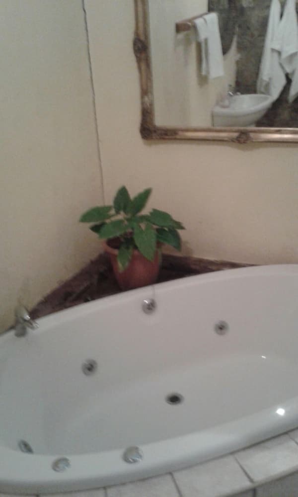 Фото Rosenhof Country Lodge