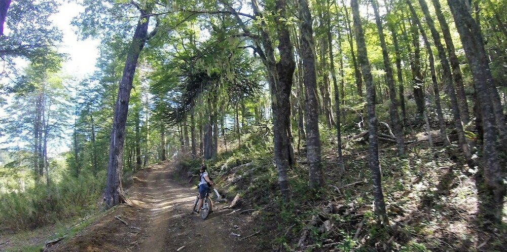 Фото Caren - Cabanas & Suites