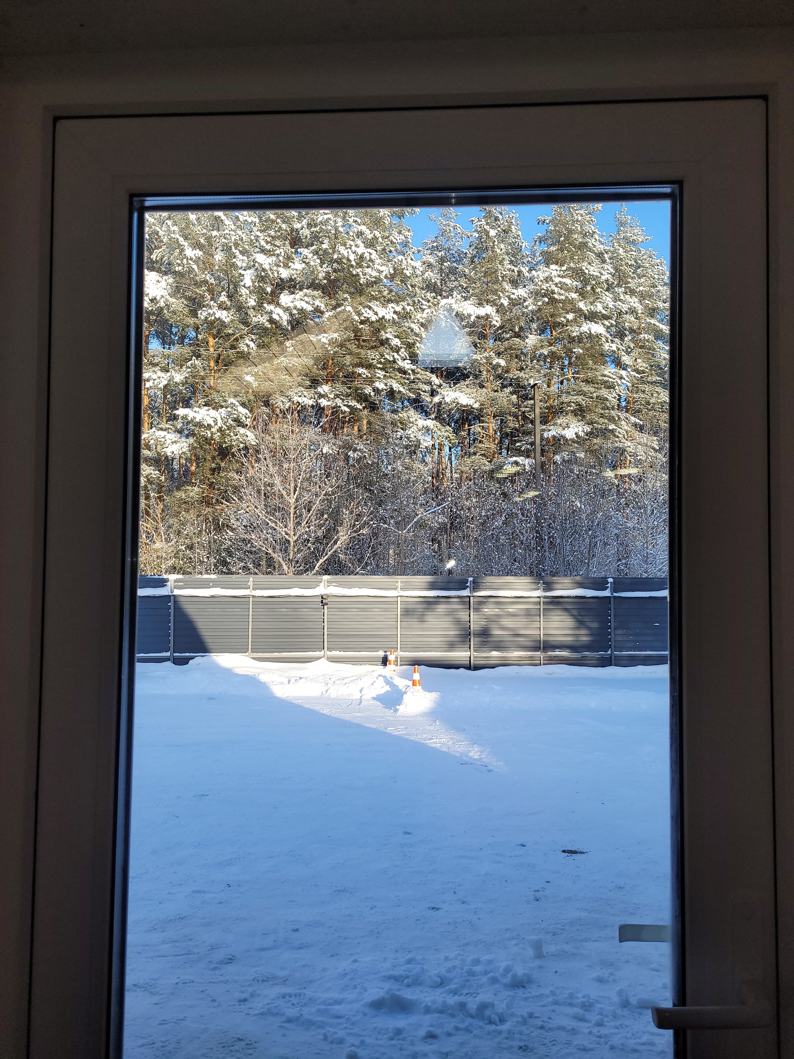 Фото Шепот Леса