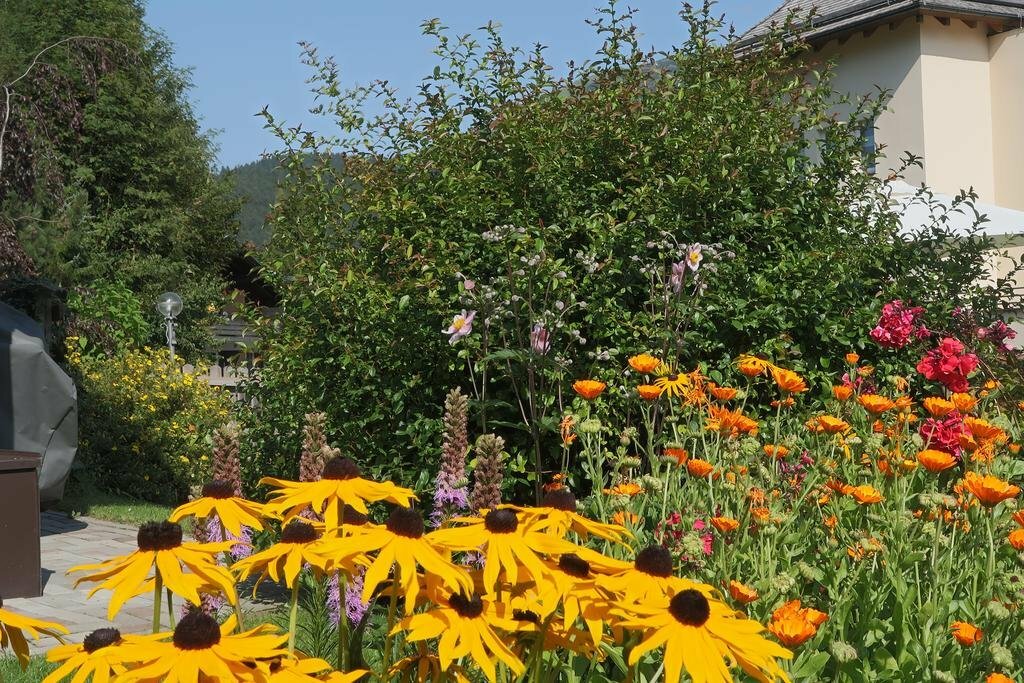 Фото Hotel Metropol