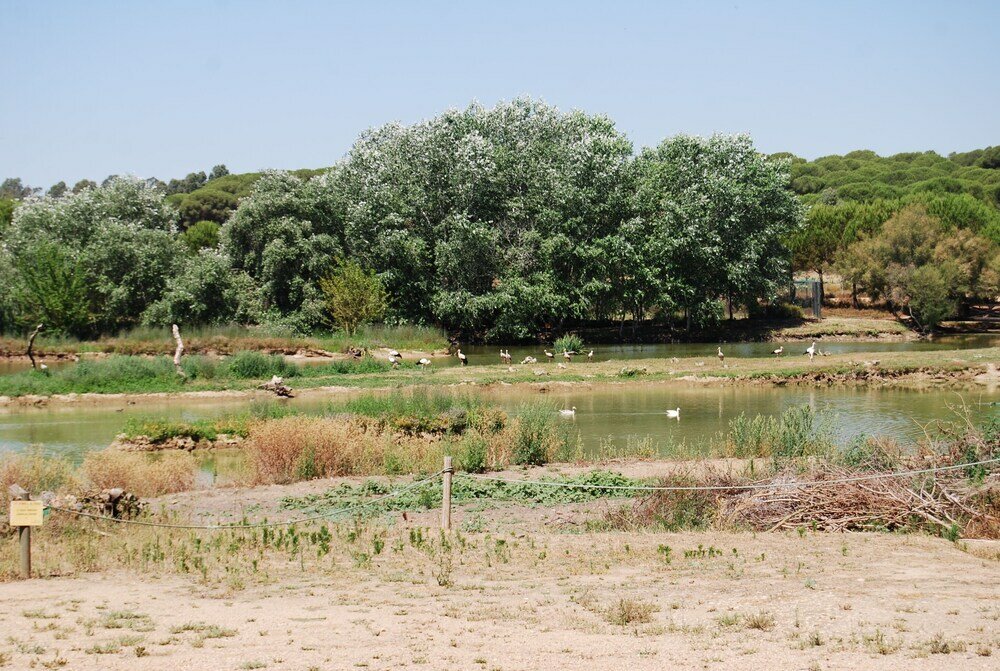 Фото Vivienda Rural el Retorno