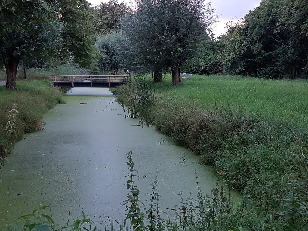 Фото Golden Tulip Zoetermeer - Den Haag