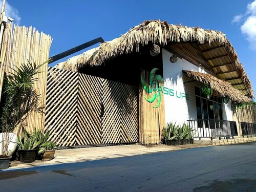 Гостиница Lipe Oasis Resort