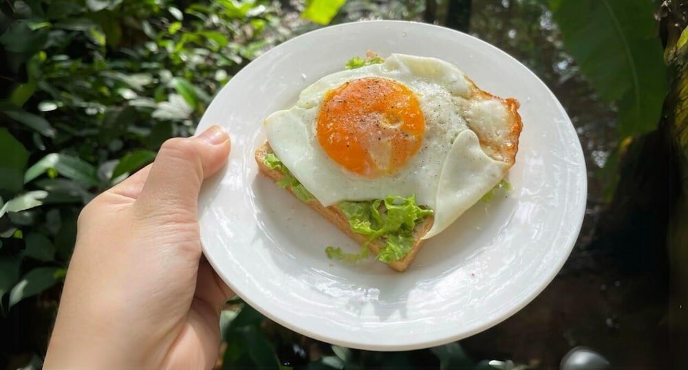 Фото Lanha Hotel-Homestay