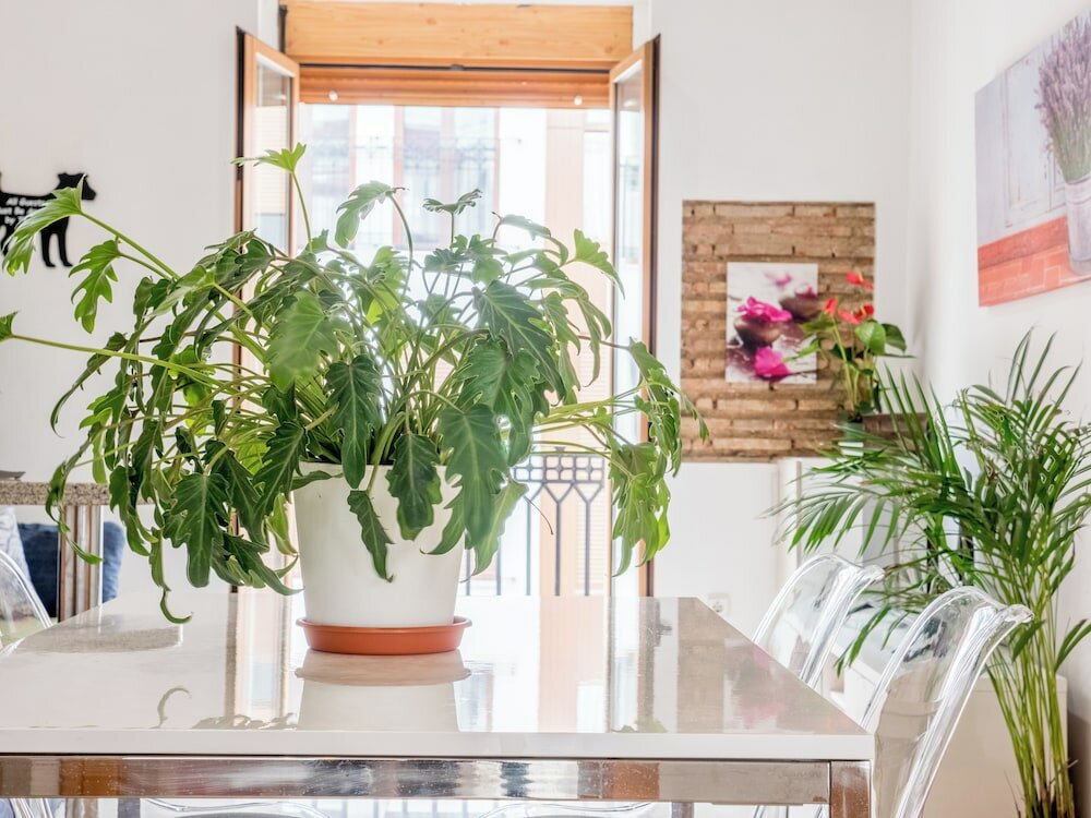 Фото Atico Ruzafa Centro Ciudad pet friendly