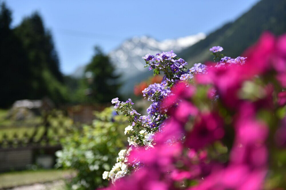 Фото Apartment Fernerkogel