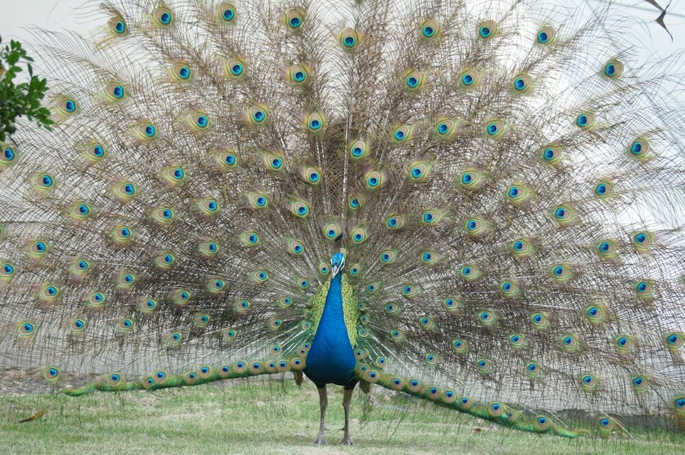 Фото Dongguan Mcb Lake Hotel