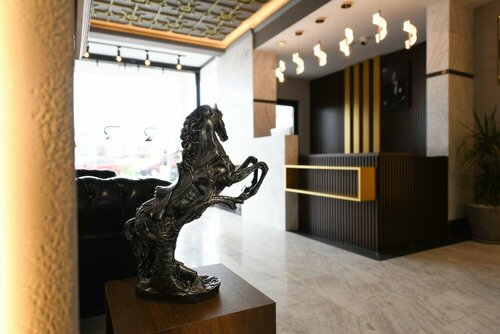 Гостиница Ref Inn Hotel в Алтынорду