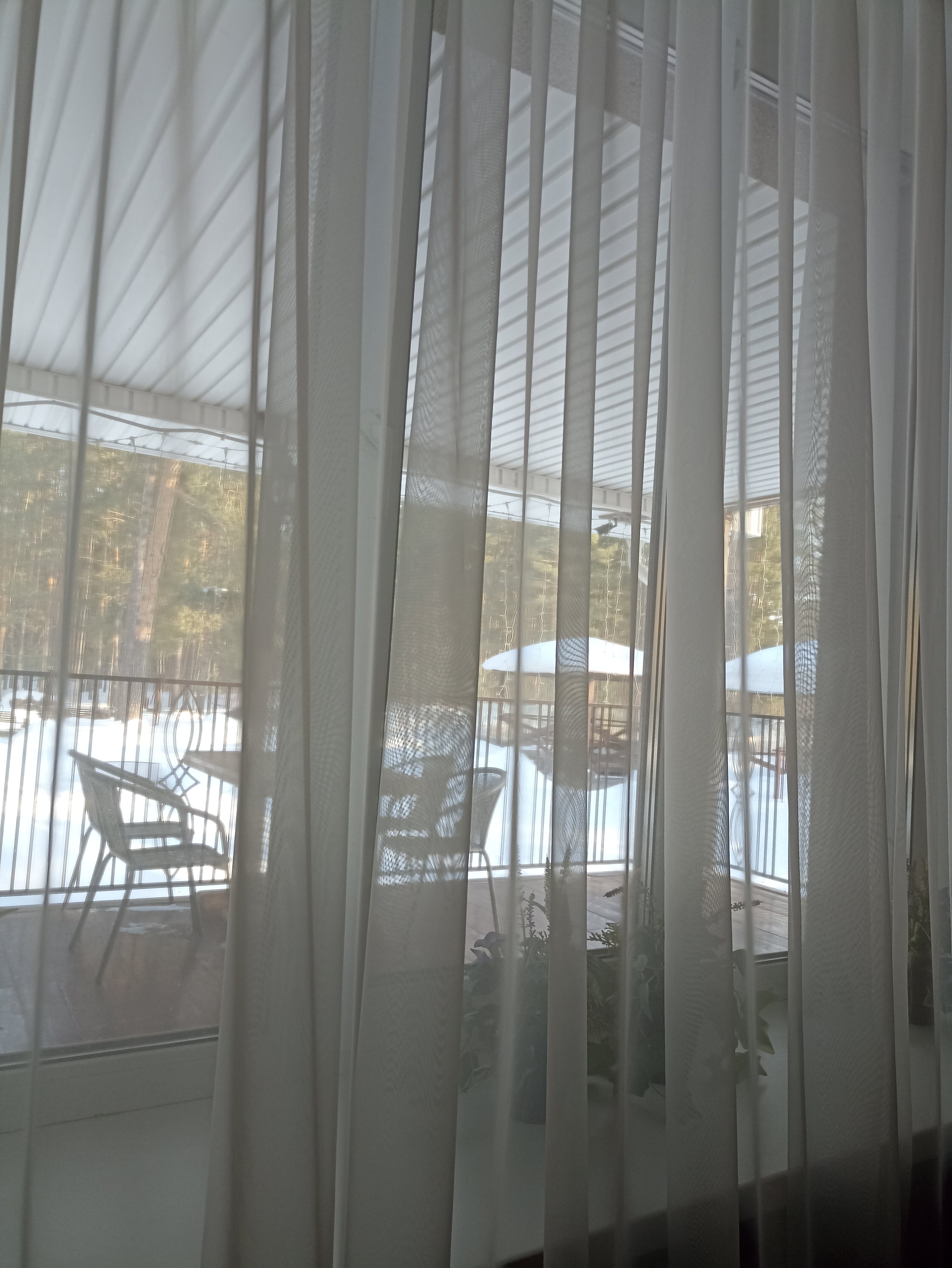 Фото Олимпия