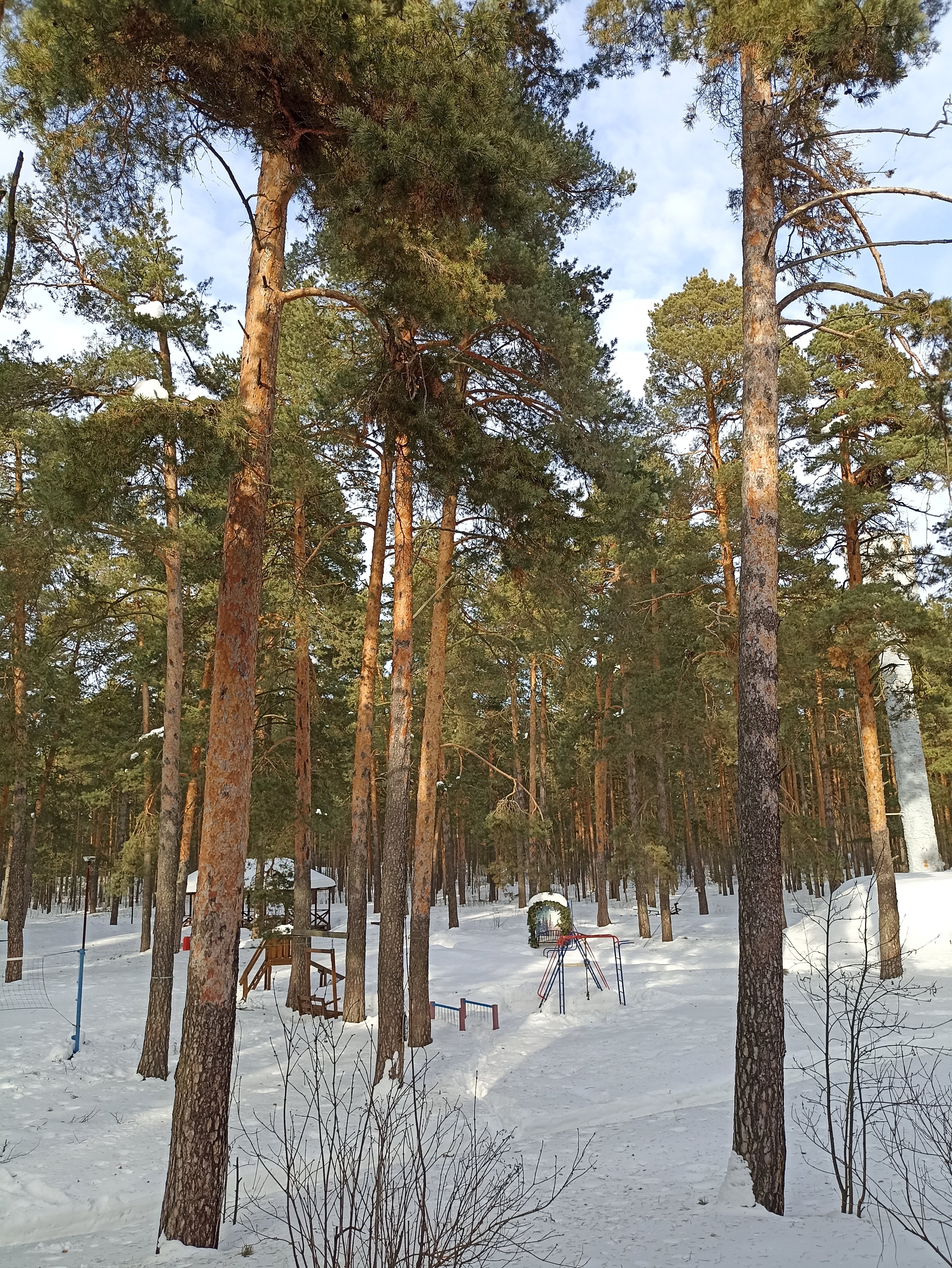 Фото Олимпия