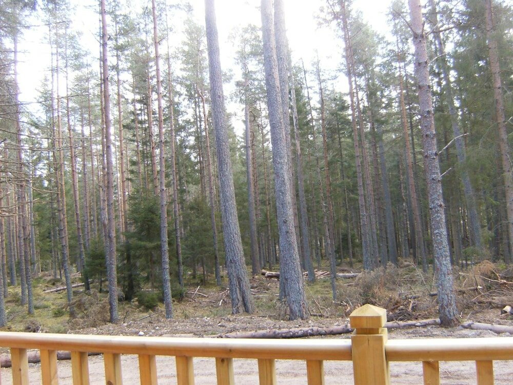 Фото Cairngorm Lodges