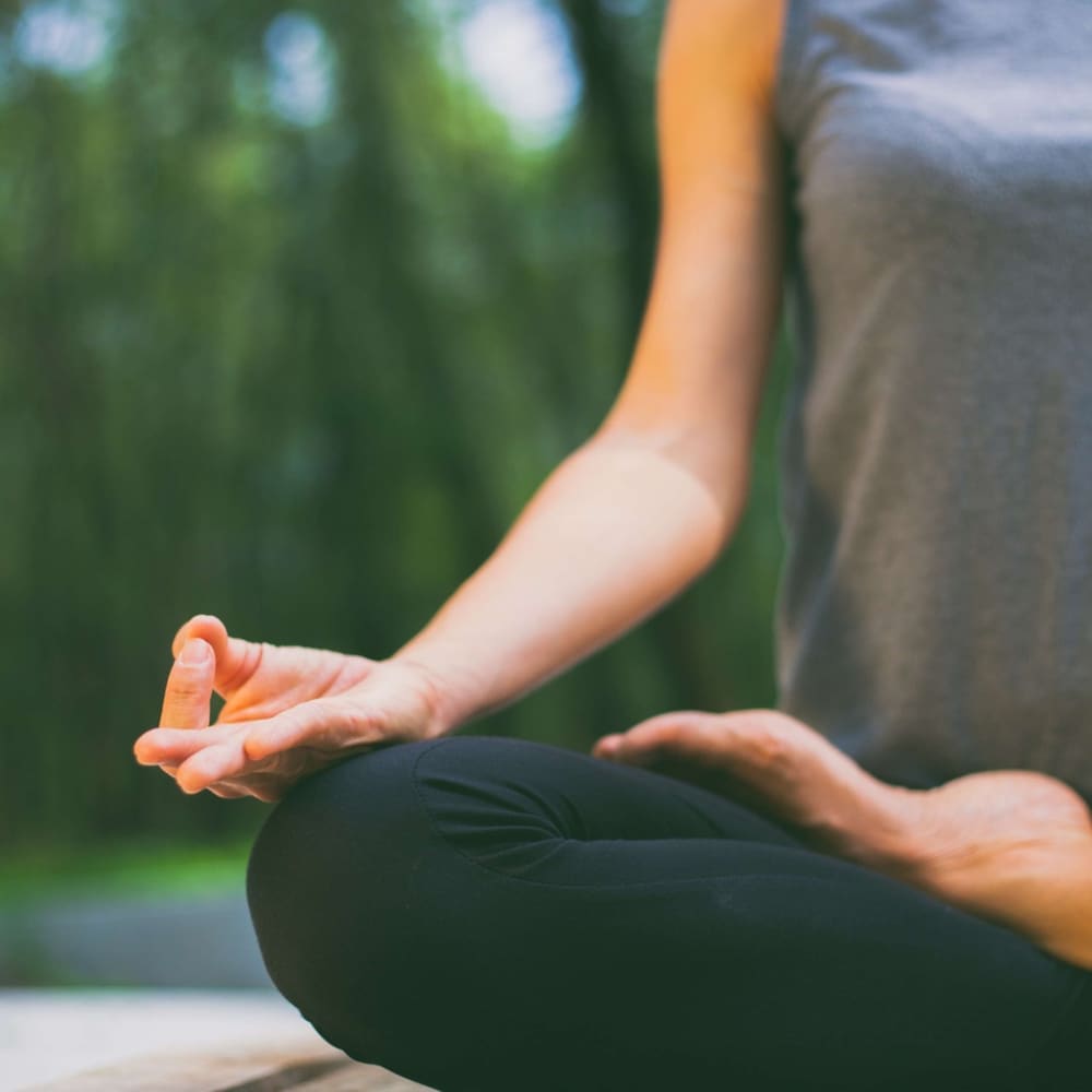 Фото Radisson Blu Hotel & SPA, Nashik