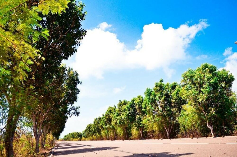 Фото Beach Palace Maldives