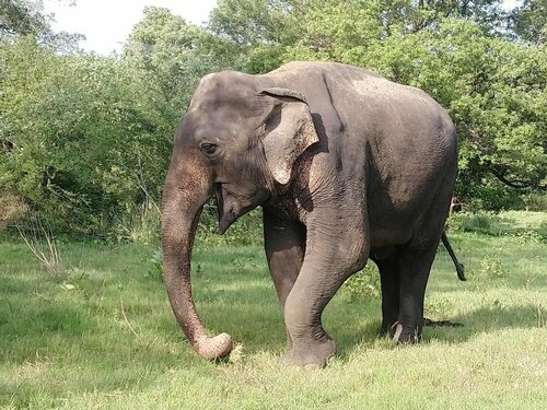 Внешний вид отеля The Nature Park Villa в Районе Матале, фото 2