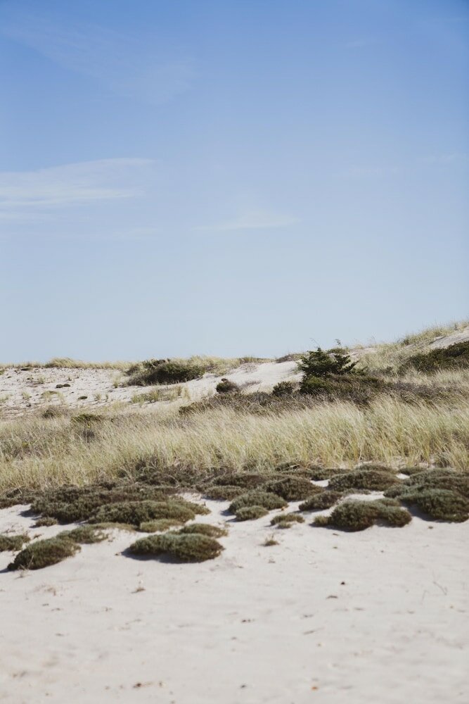 Фото The Reform Club