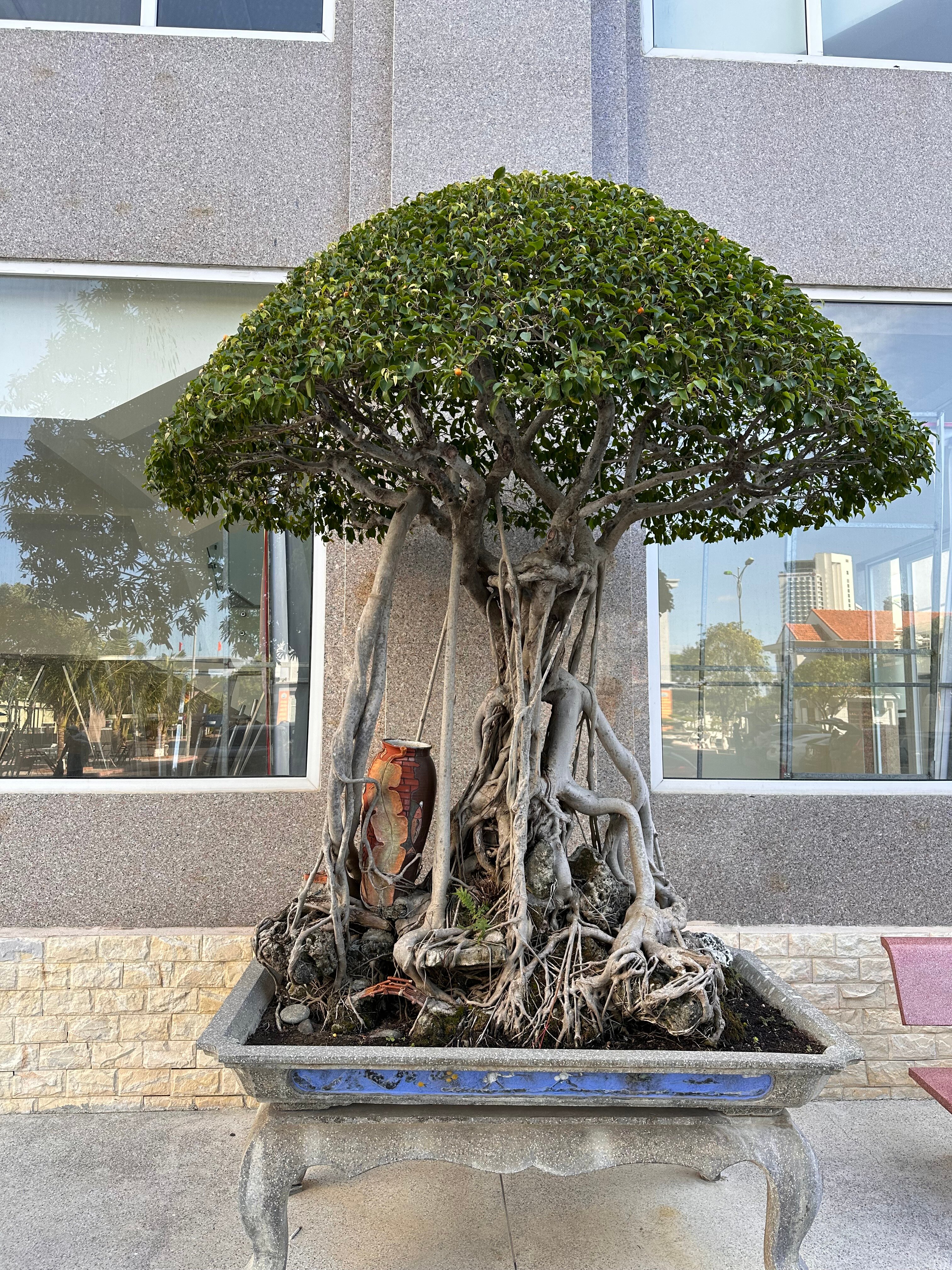 Фото Sky Beach D20 Nha Trang