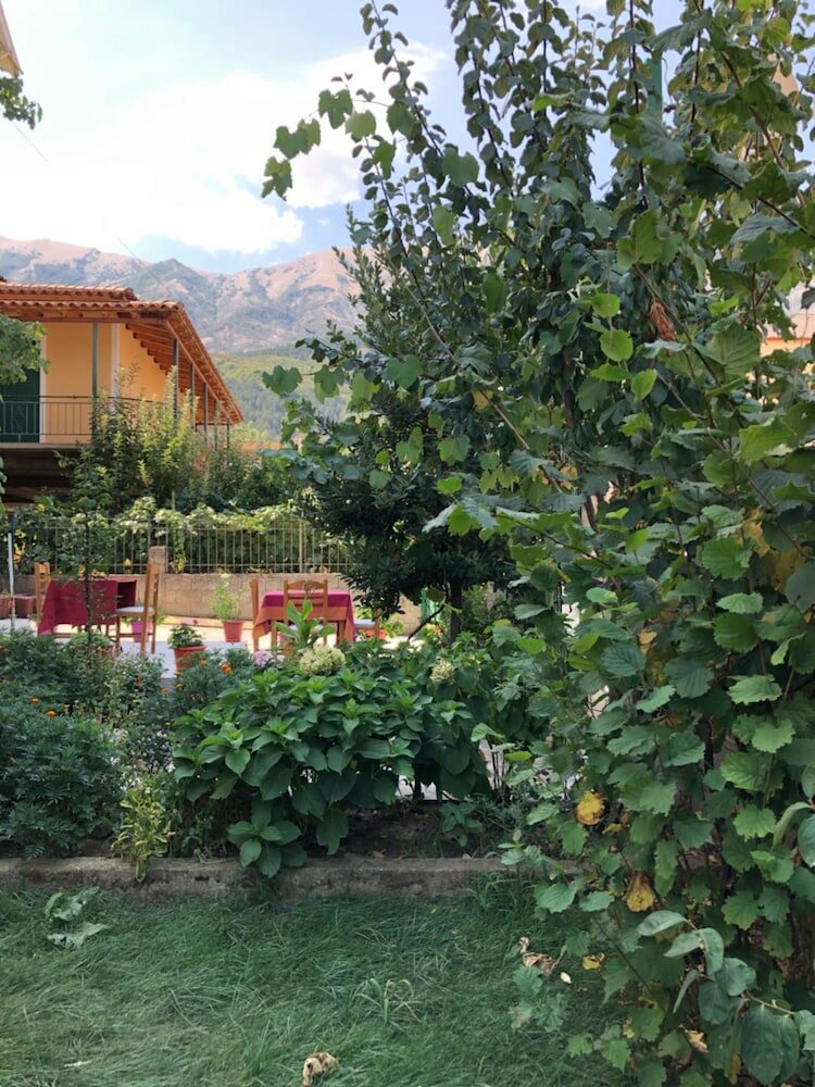 Фото Hotel Villa Ago