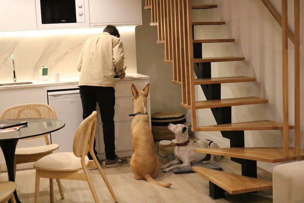 Фото Apartamentos Málaga Premium - Calle San Telmo