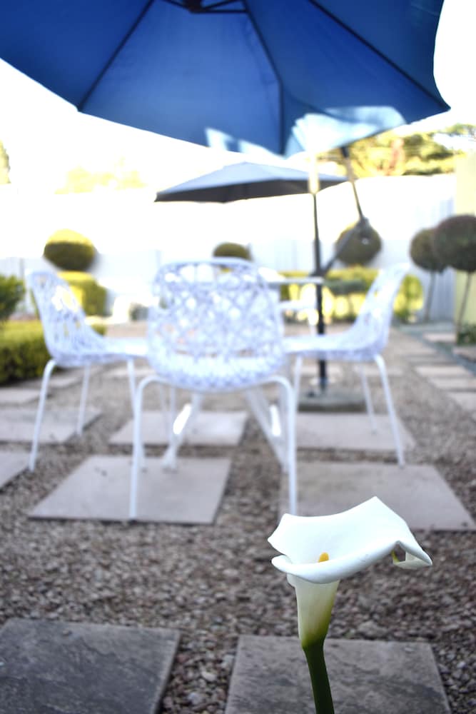 Фото Zora Guesthouse and SPA