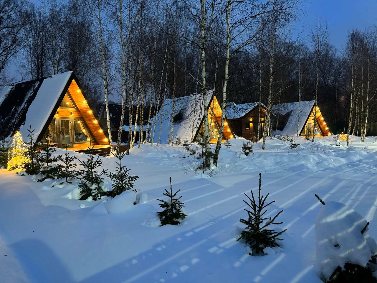 Фото Forest Glamp Uvarovo