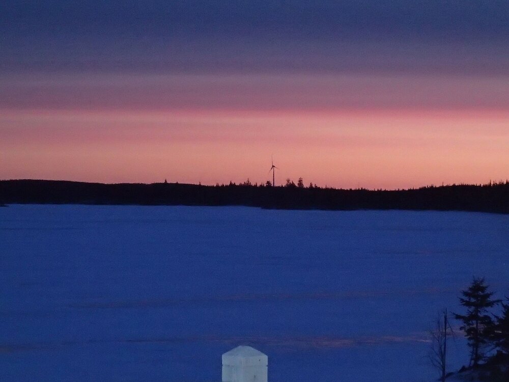 Фото The Cozy Fox