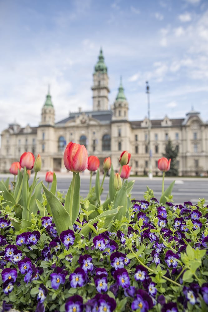 Фото Domus Collis