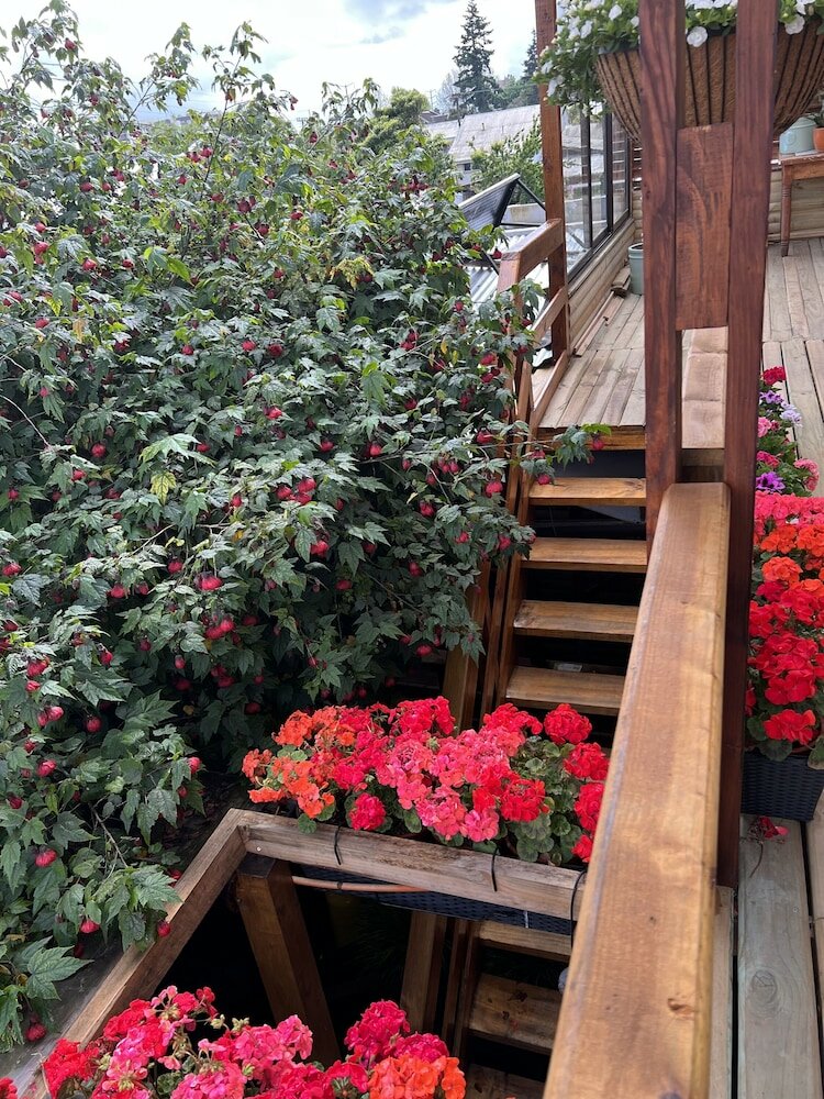 Фото Hostal Mi Segundo Hogar