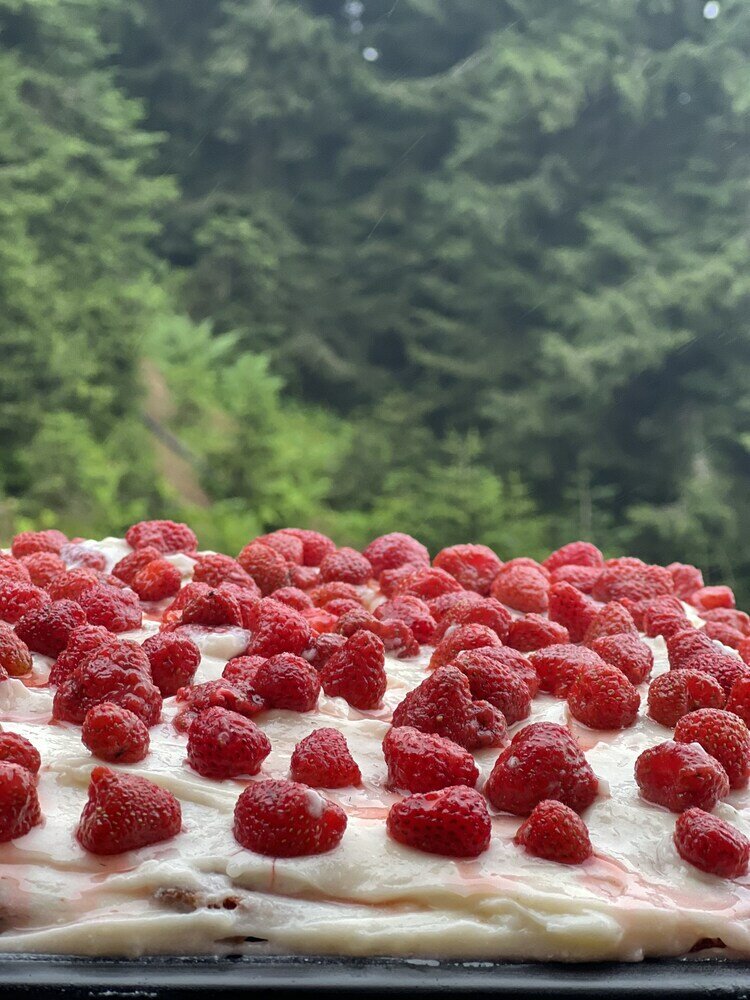 Фото Бахмаро