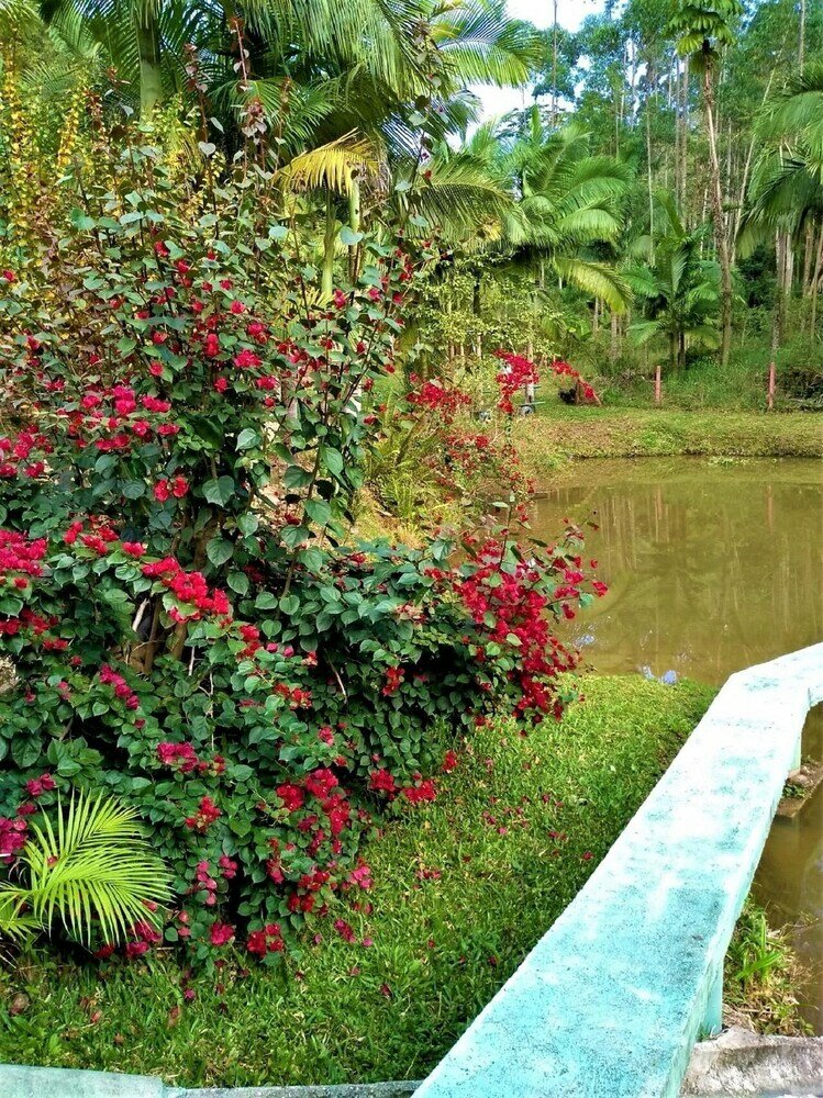 Фото Sitio Libardo - Nova Trento - Sc