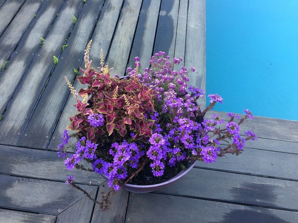 Фото Hotel L'Oustalet