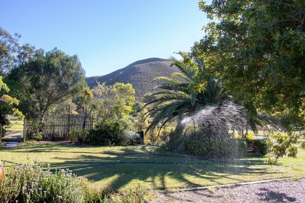 Фото Groeneweide