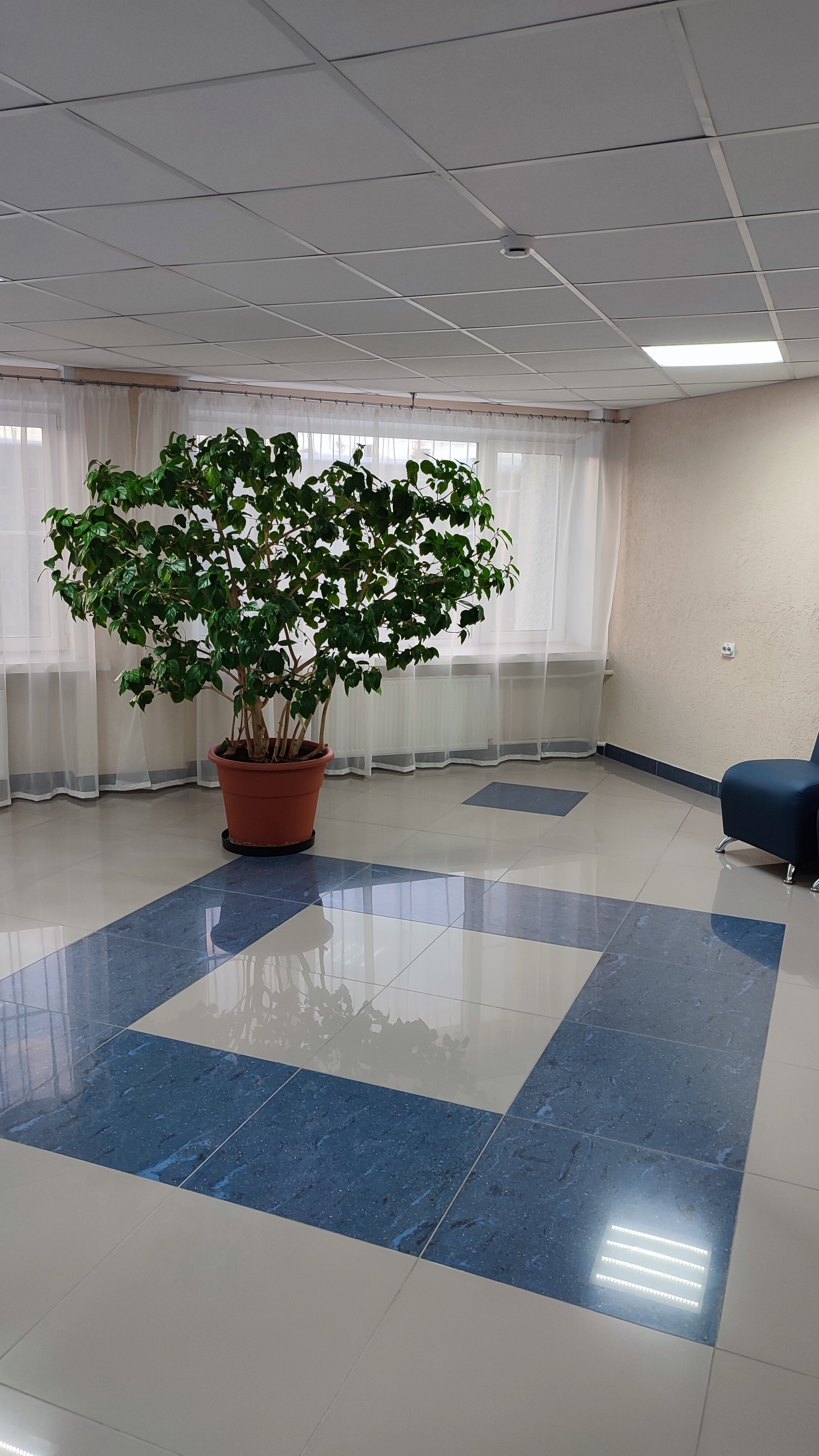 Фото Орбиталь