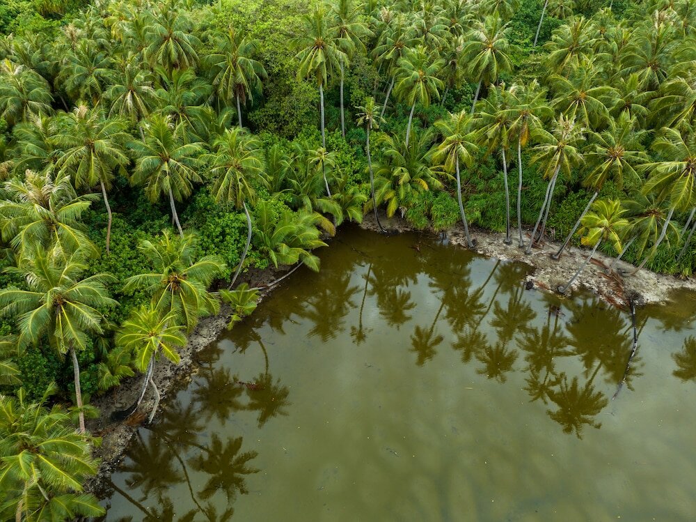 Фото Island Zephyr